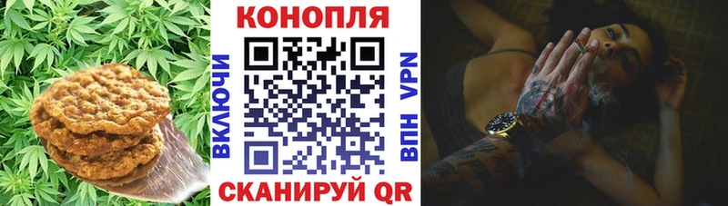 Еда ТГК конопля  где найти наркотики  Нелидово 