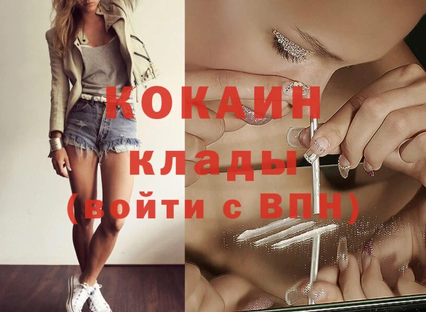 гидра Абаза