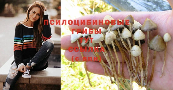 наркотики Абинск