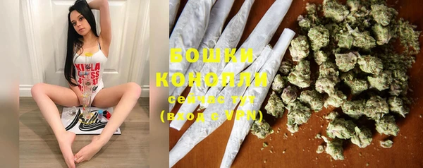 гидра Абаза