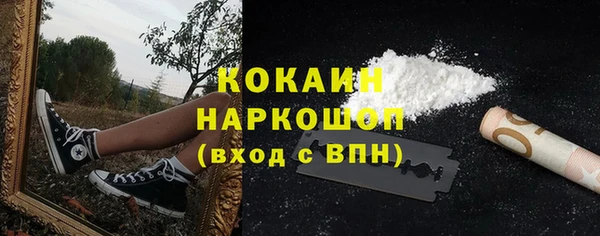 гидра Абаза