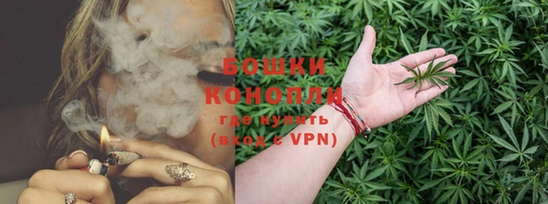 гидра Абаза