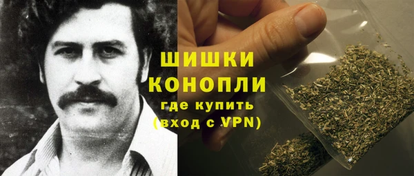 гидра Абаза