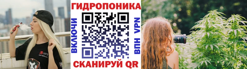 darknet наркотические препараты Нелидово Бошки марихуана Ganja